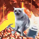 9564