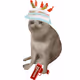 Cash Cat #9023