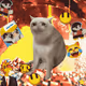 5183
