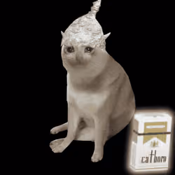 Cash Cat #480