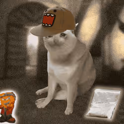 Cash Cat #8558