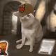 8558