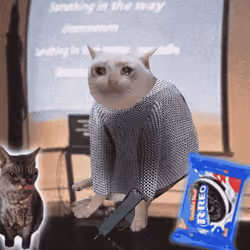 Cash Cat #6396