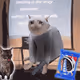 6396