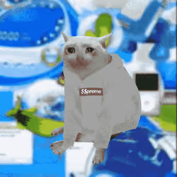 Cash Cat #2693