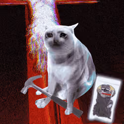 Cash Cat #6641