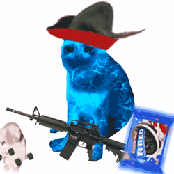 Cash Cat #3351