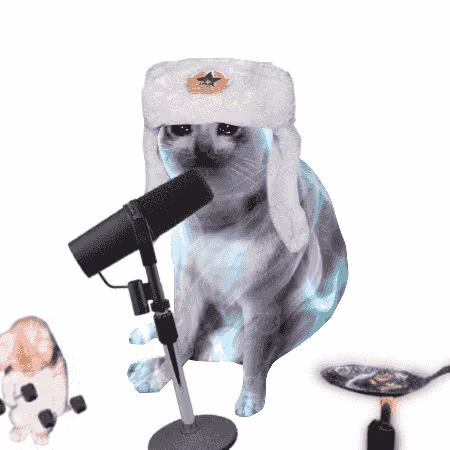 Cash Cat #6006
