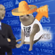 3095