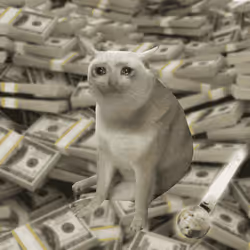 Cash Cat #6981