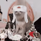 7681