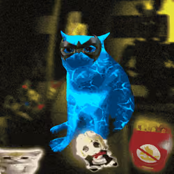 Cash Cat #7570