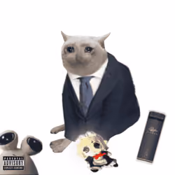 Cash Cat #2704