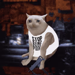 Cash Cat #878