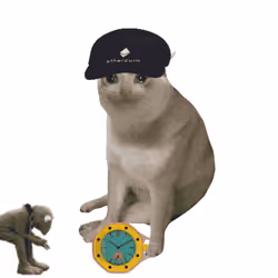 Cash Cat #7035