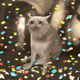 8435