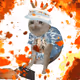 9744