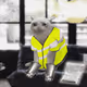7496