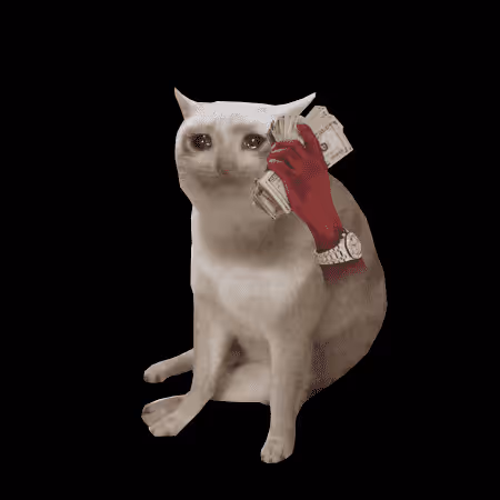 Cash Cat #2281