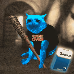 Cash Cat #7053