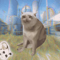 Cash Cat #7763