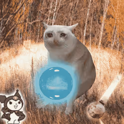 Cash Cat #6180