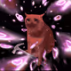 Cash Cat #9704