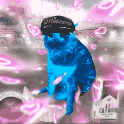 Cash Cat #3788