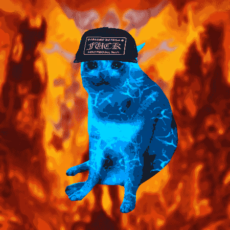 Cash Cat #3543