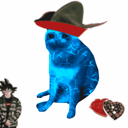 Cash Cat #3141
