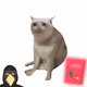 8217