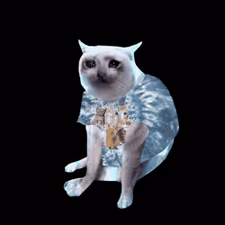 Cash Cat #7321