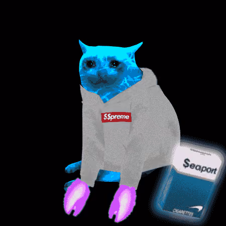 Cash Cat #6234