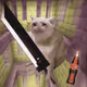8019