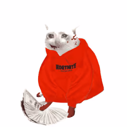 Cash Cat #8140