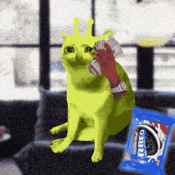 Cash Cat #1135