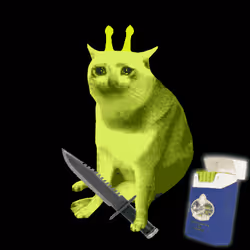 Cash Cat #5665