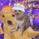 3946