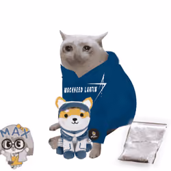 Cash Cat #7320