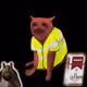 300