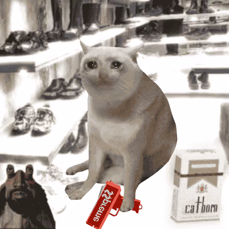 Cash Cat #1239