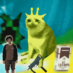 Cash Cat #8479