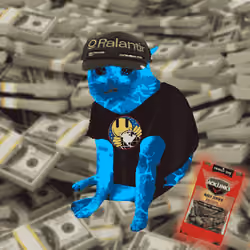 Cash Cat #3705