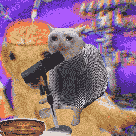Cash Cat #6294