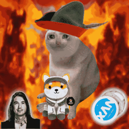 Cash Cat #9108