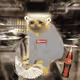 Cash Cat #4434