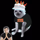 Cash Cat #6097