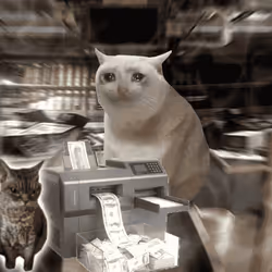 Cash Cat #3163