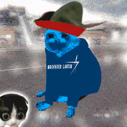 Cash Cat #3423