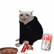 6860